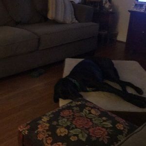 Meet your Posher, Charles